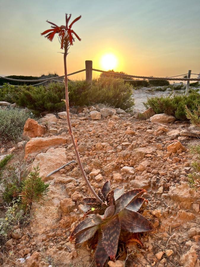 הוילה Es Arenals Arenas Del Mar Formentera מראה חיצוני תמונה
