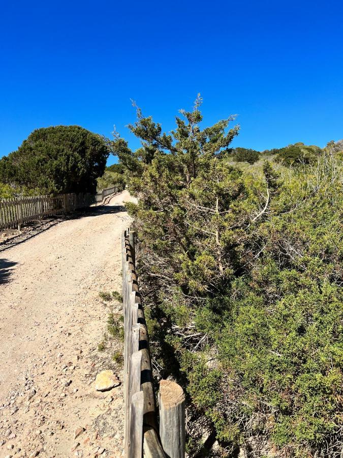 הוילה Es Arenals Arenas Del Mar Formentera מראה חיצוני תמונה